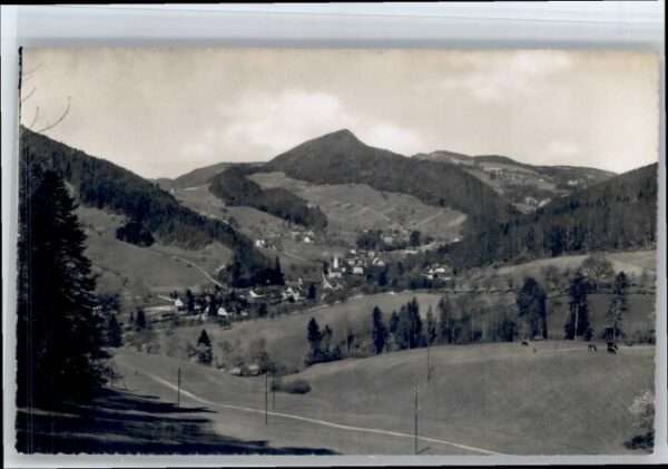 Langenbruck Basler Kinderheilstätte Obere Au
