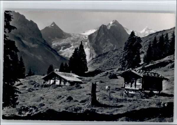 Rosenlaui Kaltenbrunnenalp