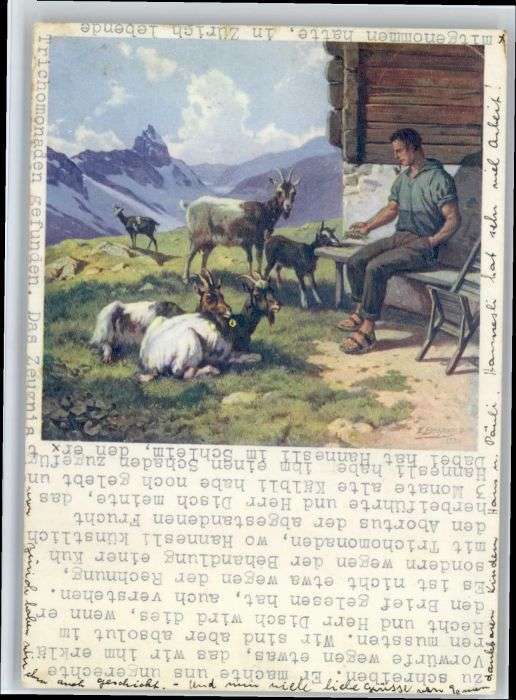 Pfaeffikon ZH ünstler E Bachmann x