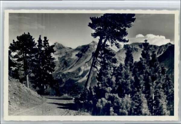 Arosa GR Arosa Arlenwald Promenade