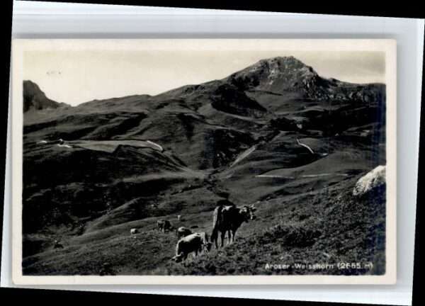 Arosa GR Arosa Weisshorn