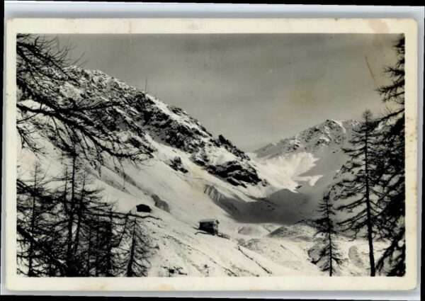 Arosa GR Arosa