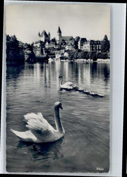Thun
