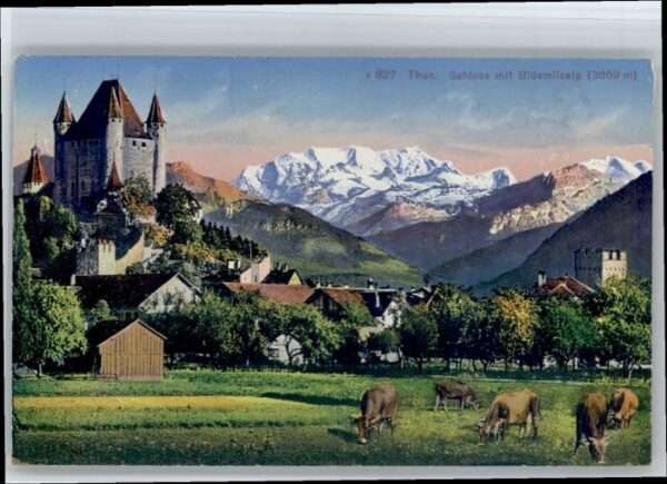 Thun Schloss Blüemlisalp