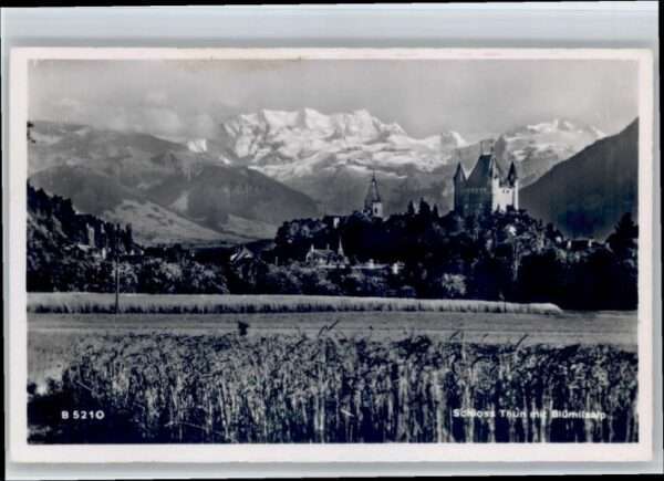 Thun Schloss Blüemlisalp