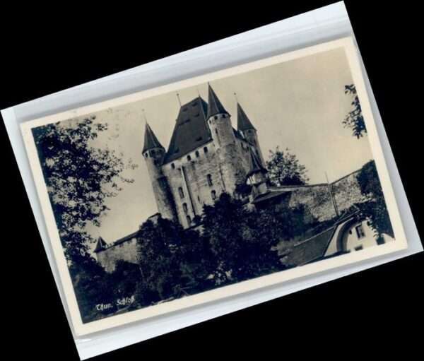 Thun Schloss