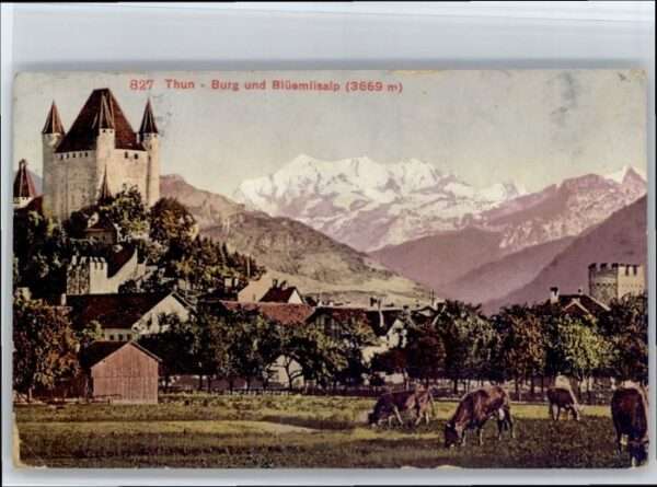 Thun Burg Blümlisalp