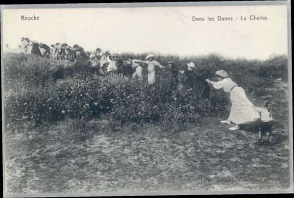 Knocke Dunes
