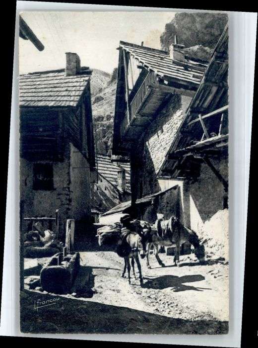 Briancon Esel