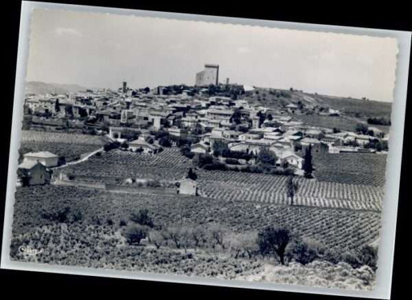 Chateauneuf Vignoble