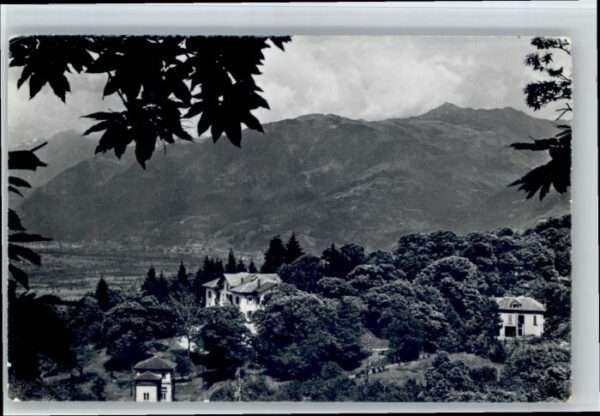 Ceneri
