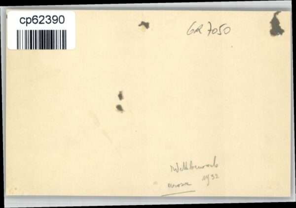 Arosa GR Arosa [Handschriftlich] – Bild 2