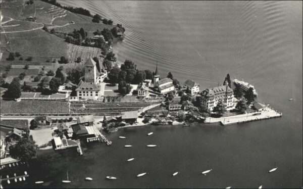 Spiez BE Spiez Hotel Spiezerhof Fliegeraufnahme