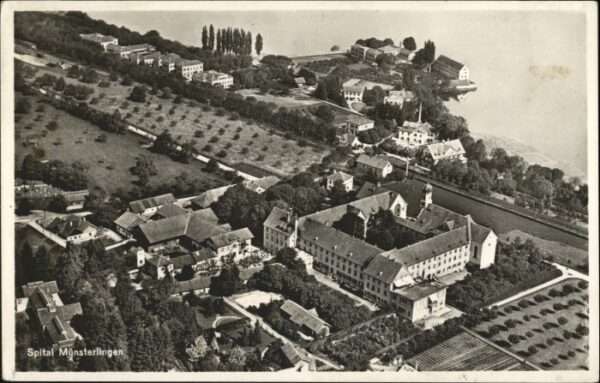Muensterlingen liegeraufnahme
