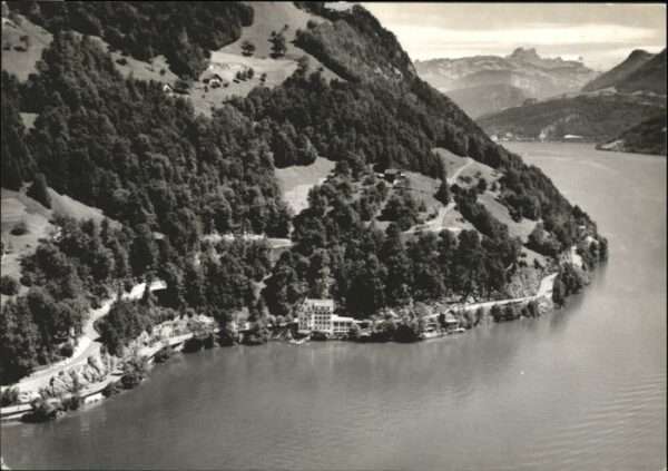 Gersau Vierwaldstaettersee Gersau Fliegeraufnahme Hotel Restaurant