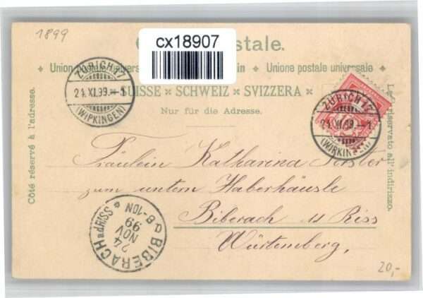 Zuerich ampfschwalbe Horgen Warenhaus – Bild 2
