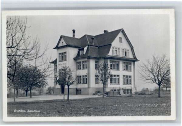Dintikon Schule