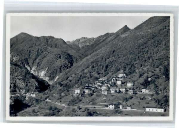 Camedo