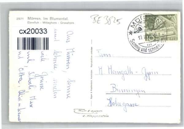 Muerren BE Mürren Blumental – Bild 2