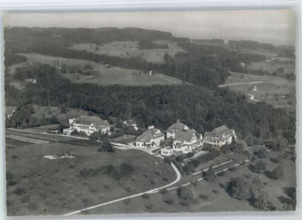 Meilen Fliegeraufnahme Hohenegg