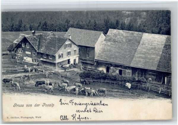 Wald ZH [Stempelabschlag] Pooalp Kühe