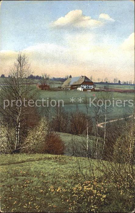Schwarzwald Alpersbach