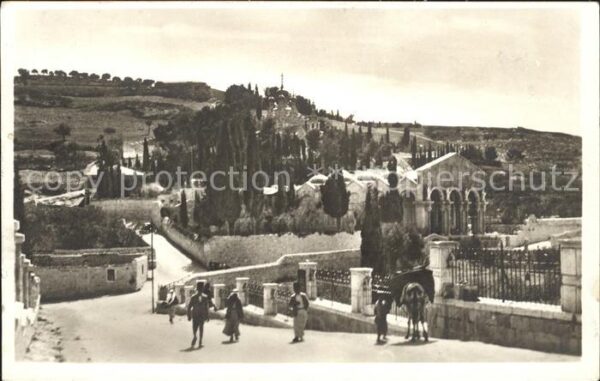 Jerusalem Yerushalayim Garten Gethsemane
