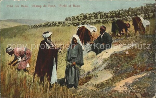 Israel Feld des Boas
