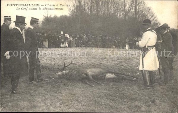 Jagd Hirsch Chasse a Courre Fontanailles Cer