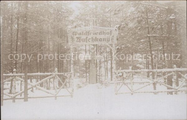 Russland Waldfriedhof Wuschkanü
