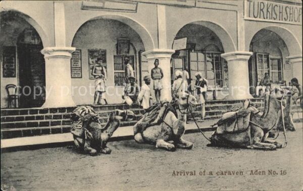 Aden Karavane