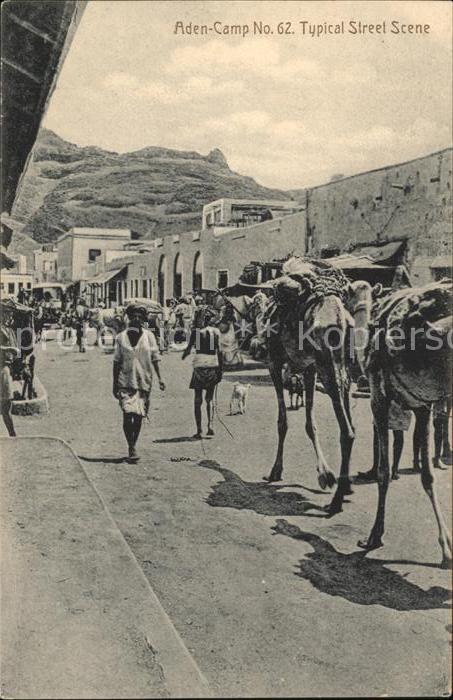 Aden Street Scene Camele