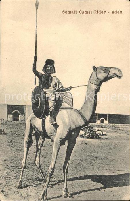 Aden Camel Rider