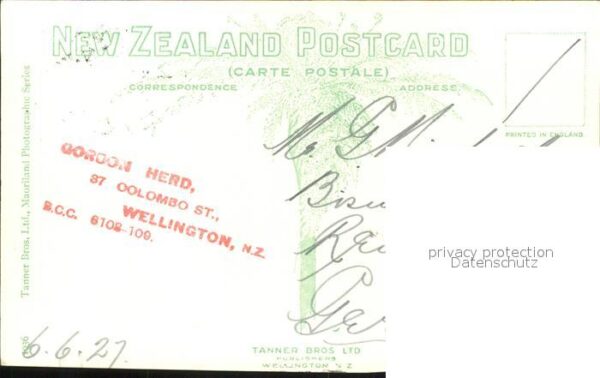 Wellington Wellington – Bild 2