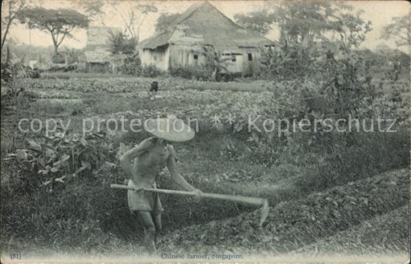 Singapore Landarbeiter