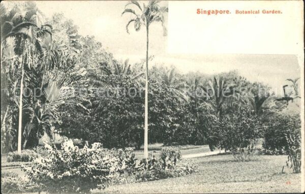 Singapore Botanic Garden