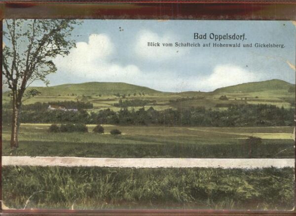 Bad Oppelsdorf Opolno Zdroj Schafteich Hohenwald Gickelsberg