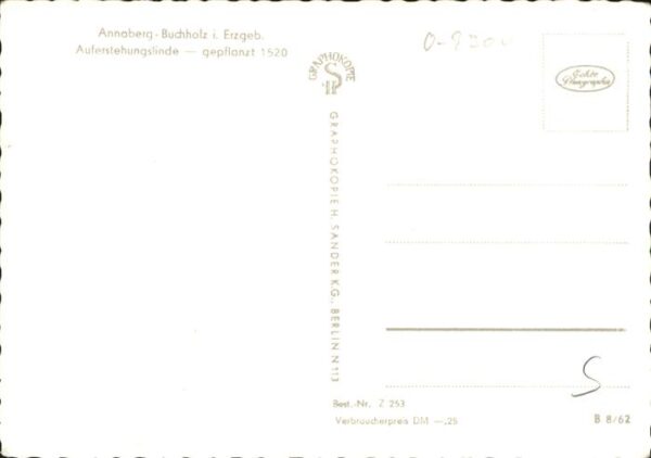 Baeume Trees Auferstehungslinde Annaberg-Buchholz – Bild 2