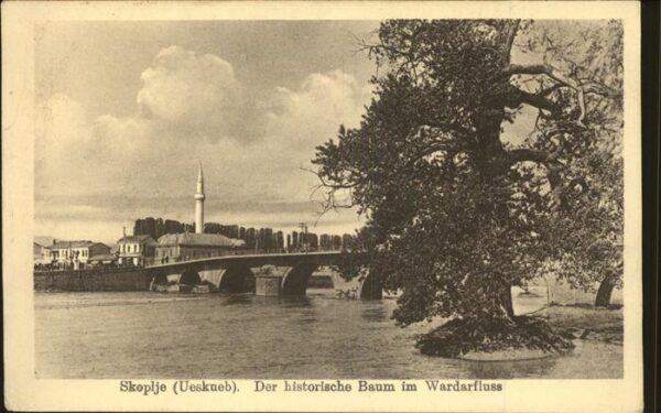 Baeume Trees historischer Baum Wardarfluss Skoplje