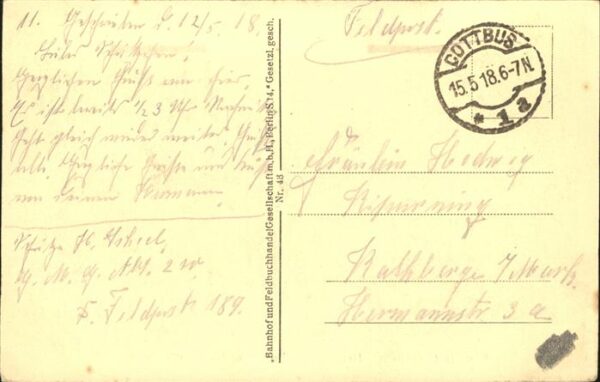 Baeume Trees historischer Baum Wardarfluss Skoplje – Bild 2