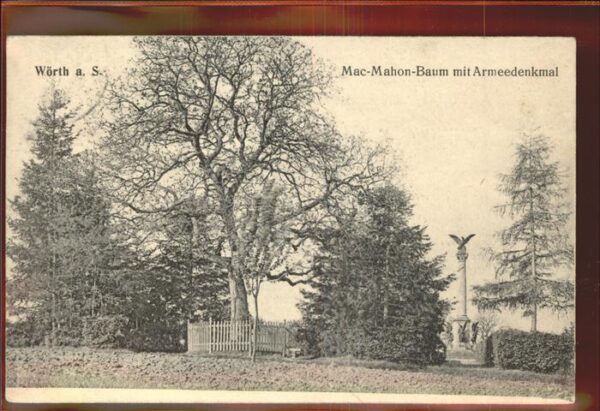 Baeume Trees Mac Mahon Baum Armeedenkmal