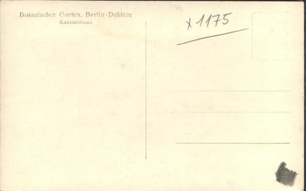 Kakteen Botanischer Garten Berlin-Dahlem Kaktee – Bild 2