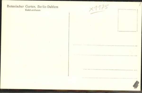 Kakteen Botanischer Garten Berlin-Dahlem – Bild 2