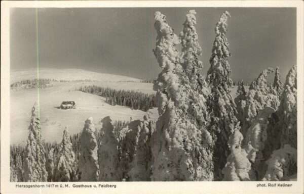 Schwarzwald Herzogenhorn Gasthaus Feldberg