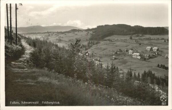 Schwarzwald Falkau Feldbergblick