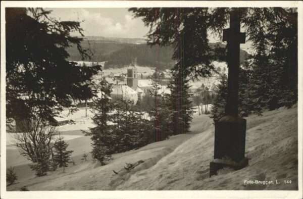 Baeume Trees Lenzkirch Wintersportplatz
