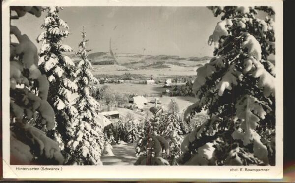 Schwarzwald Bäume Winter