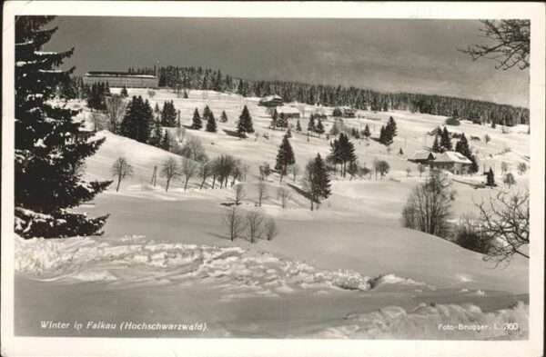 Schwarzwald Winter Falkau