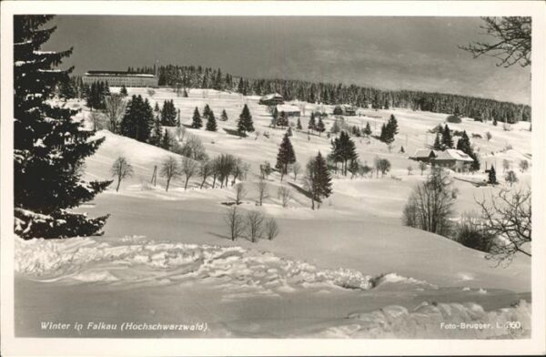 Schwarzwald Winter Falkau