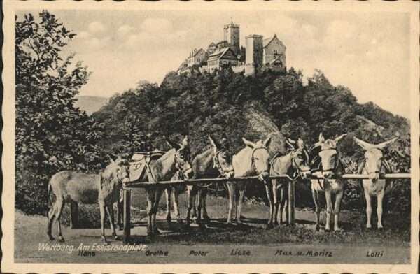 Esel Tiere Wartburg Hans Grethe Peter Liese Lotti